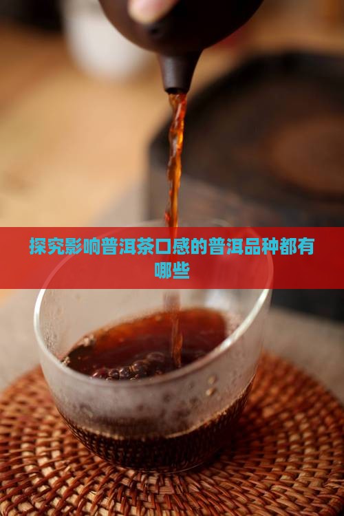探究影响普洱茶口感的普洱品种都有哪些