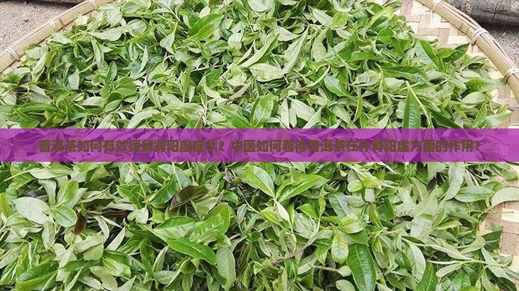 普洱茶如何有效缓解肾阳虚症状？中医如何看待普洱茶在补肾阳虚方面的作用？