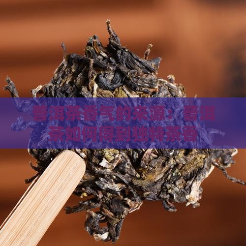 普洱茶香气的来源：普洱茶如何得到独特茶香