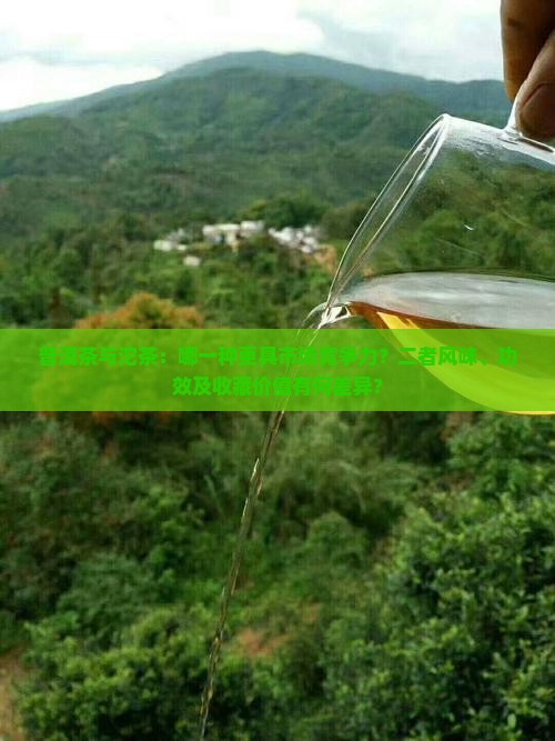 普洱茶与沱茶：哪一种更具市场竞争力？二者风味、功效及收藏价值有何差异？