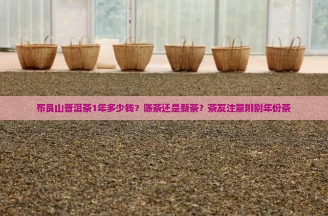 布良山普洱茶1年多少钱？陈茶还是新茶？茶友注意辨别年份茶