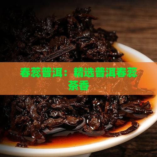 春蕊普洱：精选普洱春蕊茶香