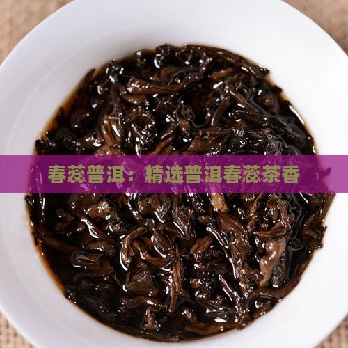 春蕊普洱：精选普洱春蕊茶香