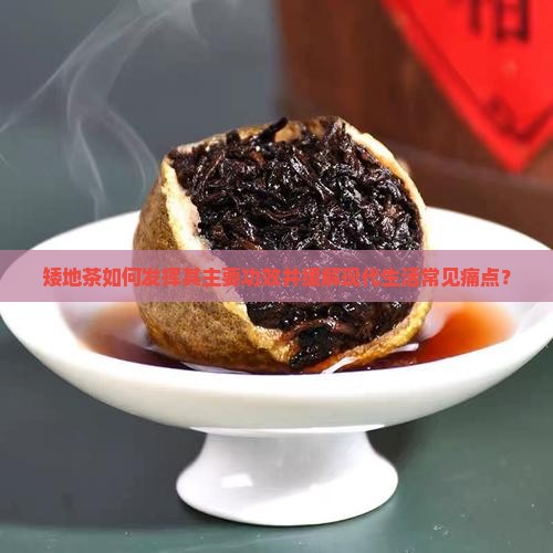 矮地茶如何发挥其主要功效并缓解现代生活常见痛点？