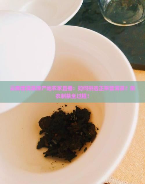 云南普洱茶原产地农家直播：如何挑选正宗普洱茶？茶农制茶全过程！