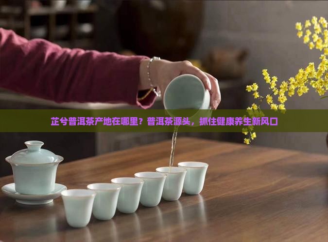 芷兮普洱茶产地在哪里？普洱茶源头，抓住健康养生新风口