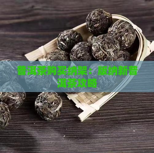 普洱茶购买纳架：版纳新普洱茶攻略