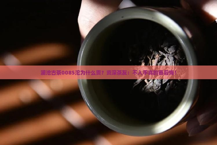 澜沧古茶0085沱为什么贵？资深茶友：不入手真的要后悔！
