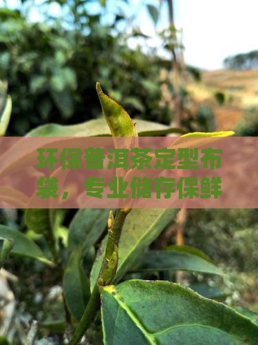环保普洱茶定型布袋，专业储存保鲜茶叶