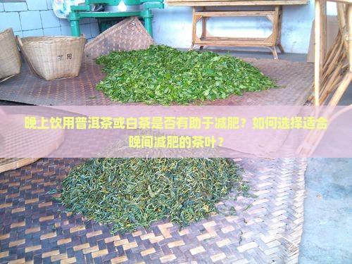 晚上饮用普洱茶或白茶是否有助于减肥？如何选择适合晚间减肥的茶叶？