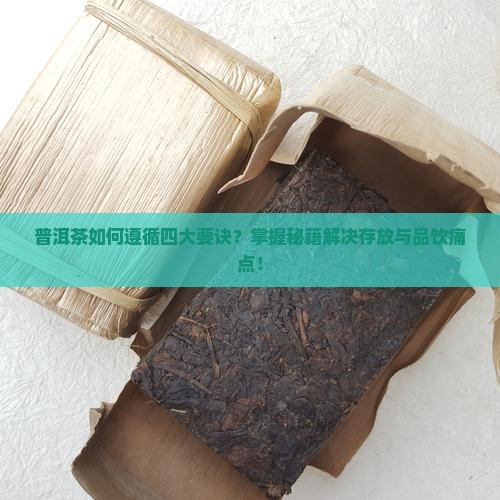 普洱茶如何遵循四大要诀？掌握秘籍解决存放与品饮痛点！