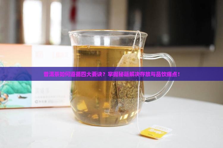 普洱茶如何遵循四大要诀？掌握秘籍解决存放与品饮痛点！