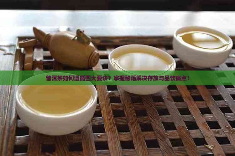 普洱茶如何遵循四大要诀？掌握秘籍解决存放与品饮痛点！