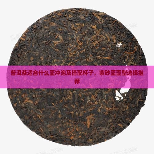 普洱茶适合什么壶冲泡及搭配杯子，紫砂壶壶型选择推荐