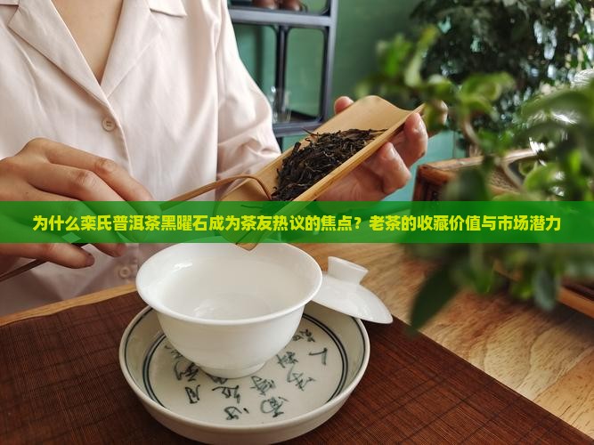 为什么栾氏普洱茶黑曜石成为茶友热议的焦点？老茶的收藏价值与市场潜力