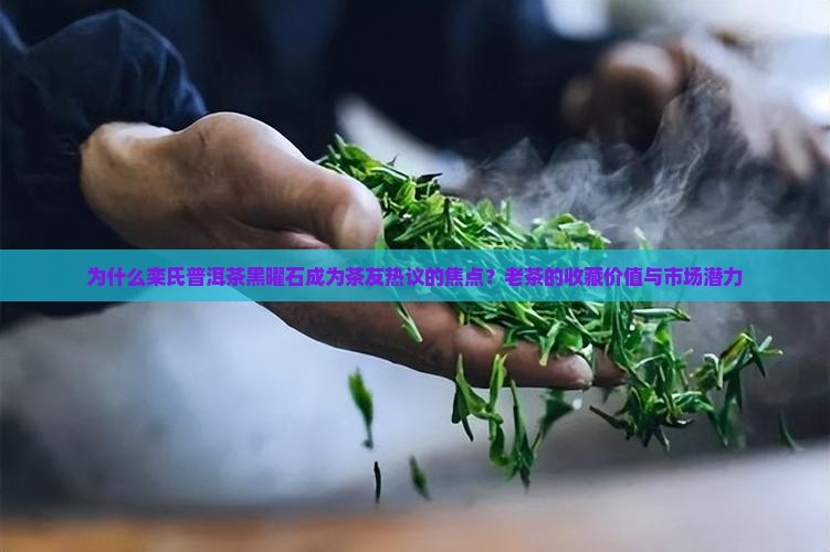 为什么栾氏普洱茶黑曜石成为茶友热议的焦点？老茶的收藏价值与市场潜力