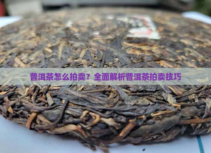 普洱茶怎么拍卖？全面解析普洱茶拍卖技巧