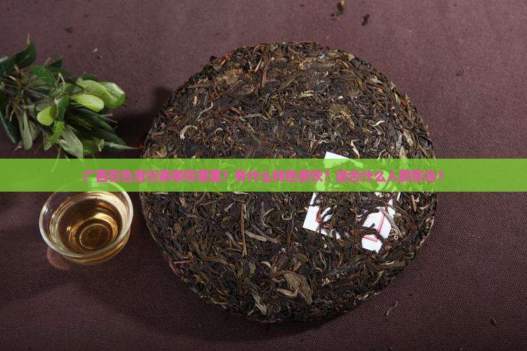 广西百色昔归茶楼在哪里？有什么特色茶饮？适合什么人群聚会？