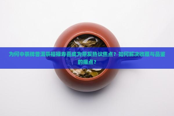 为何中茶牌普洱茶福禄寿喜成为茶友热议焦点？如何解决收藏与品鉴的痛点？