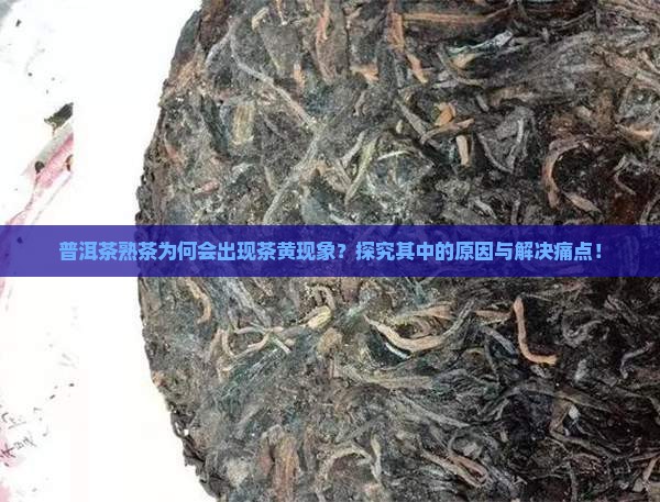普洱茶熟茶为何会出现茶黄现象？探究其中的原因与解决痛点！