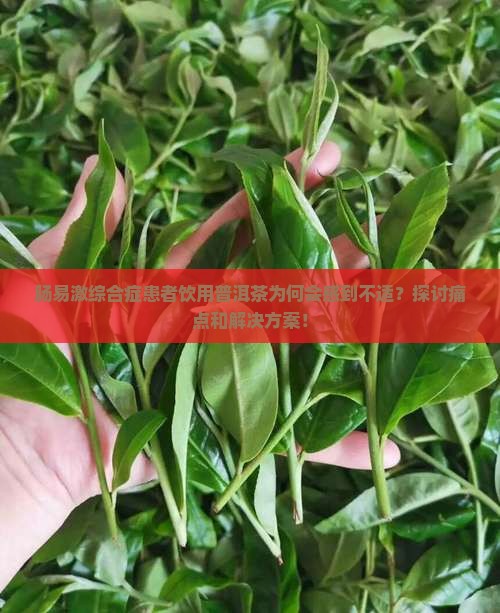 肠易激综合症患者饮用普洱茶为何会感到不适？探讨痛点和解决方案！