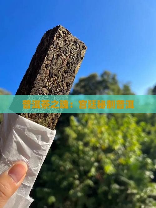 普洱茶之魂：宫廷秘制普洱