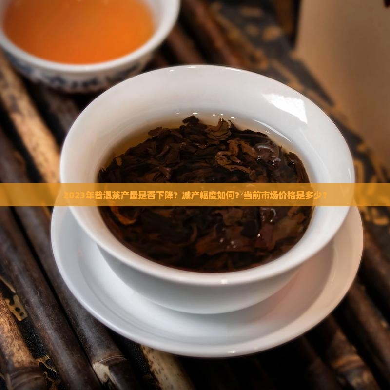 2023年普洱茶产量是否下降？减产幅度如何？当前市场价格是多少？