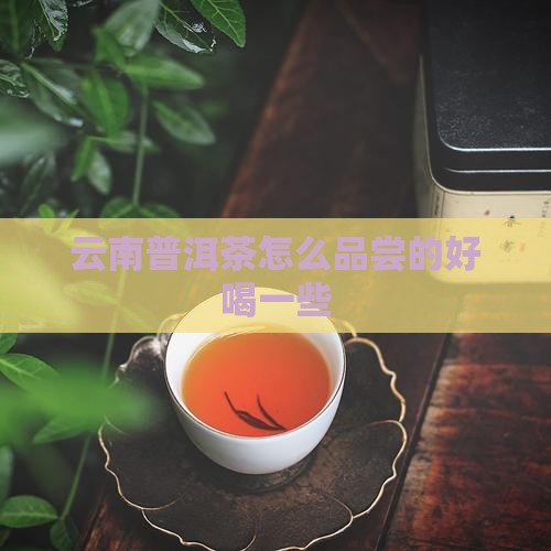 云南普洱茶怎么品尝的好喝一些