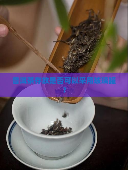 普洱茶存放是否可以采用玻璃罐？