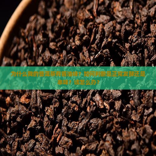为什么我的普洱茶有酱油味？如何判断是正常发酵还是串味？该怎么办？