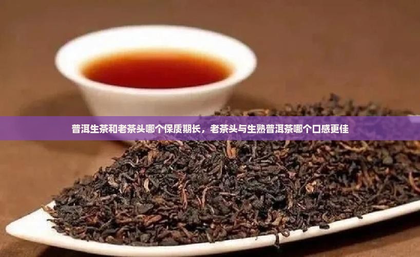 普洱生茶和老茶头哪个保质期长，老茶头与生熟普洱茶哪个口感更佳