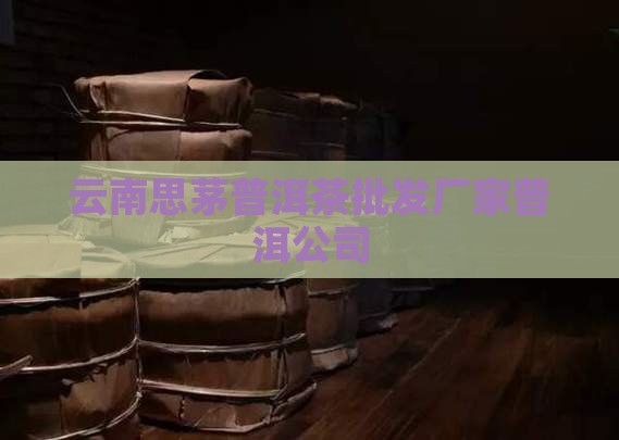 云南思茅普洱茶批发厂家普洱公司