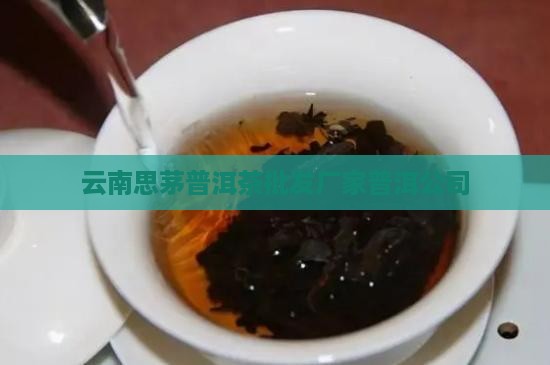 云南思茅普洱茶批发厂家普洱公司