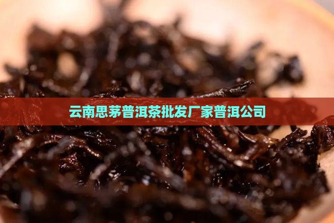云南思茅普洱茶批发厂家普洱公司