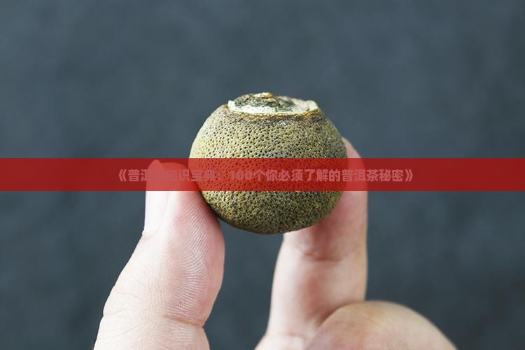《普洱茶知识宝典：100个你必须了解的普洱茶秘密》