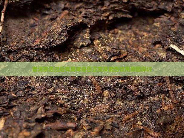 普洱茶泡过后有臭味是否正常及能否饮用原因探讨