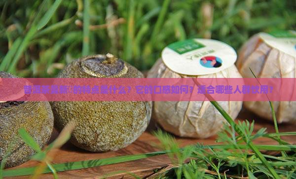 普洱茶曼新竜的特点是什么？它的口感如何？适合哪些人群饮用？