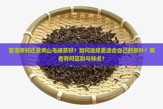 普洱茶好还是黄山毛峰茶好？如何选择更适合自己的茶叶？两者有何区别与特点？