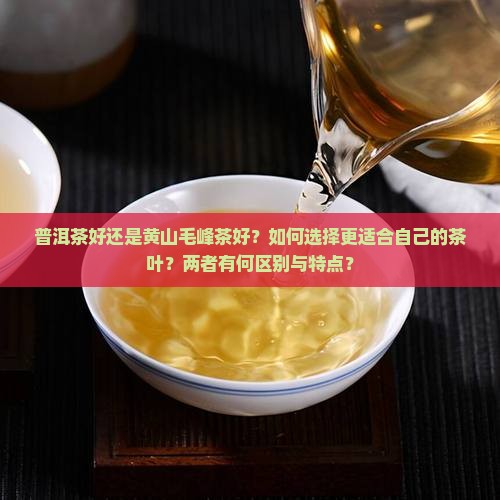 普洱茶好还是黄山毛峰茶好？如何选择更适合自己的茶叶？两者有何区别与特点？