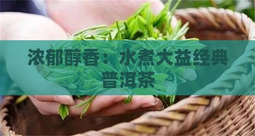 浓郁醇香：水煮大益经典普洱茶