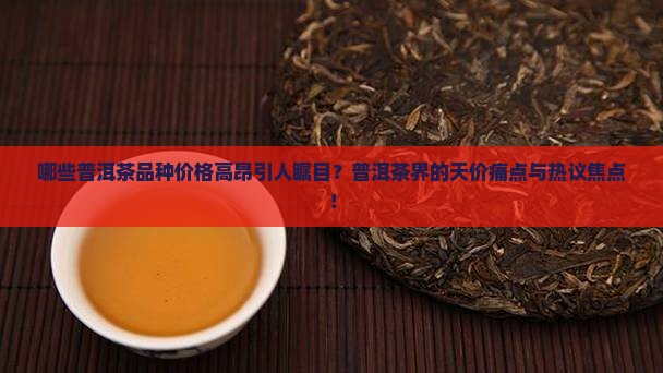 哪些普洱茶品种价格高昂引人瞩目？普洱茶界的天价痛点与热议焦点！