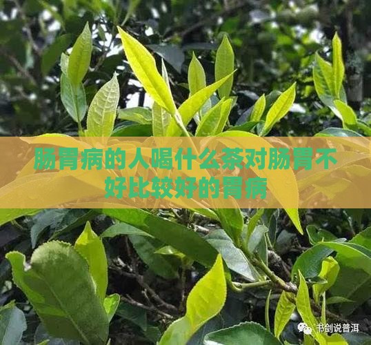 肠胃病的人喝什么茶对肠胃不好比较好的胃病