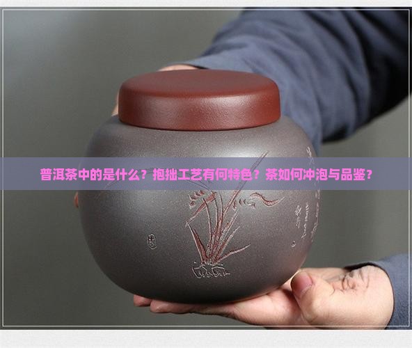 普洱茶中的是什么？抱拙工艺有何特色？茶如何冲泡与品鉴？