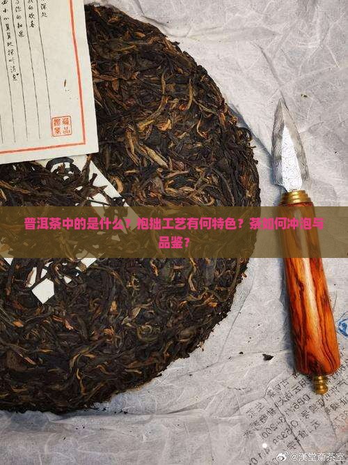 普洱茶中的是什么？抱拙工艺有何特色？茶如何冲泡与品鉴？