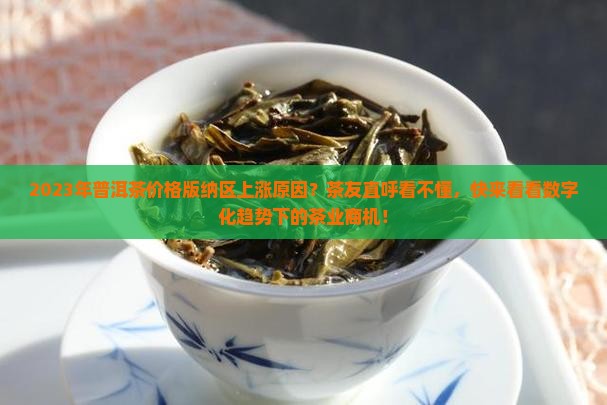 2023年普洱茶价格版纳区上涨原因？茶友直呼看不懂，快来看看数字化趋势下的茶业商机！