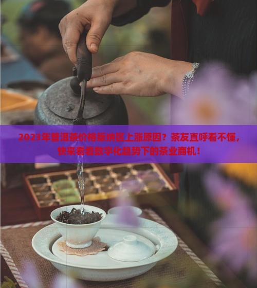 2023年普洱茶价格版纳区上涨原因？茶友直呼看不懂，快来看看数字化趋势下的茶业商机！