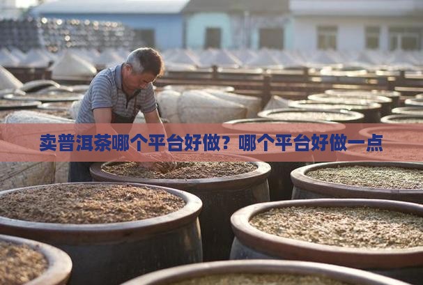 卖普洱茶哪个平台好做？哪个平台好做一点
