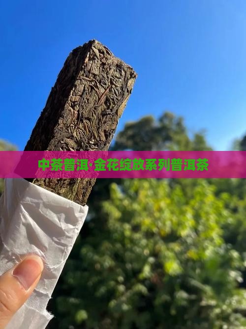 中茶普洱·金花绽放系列普洱茶
