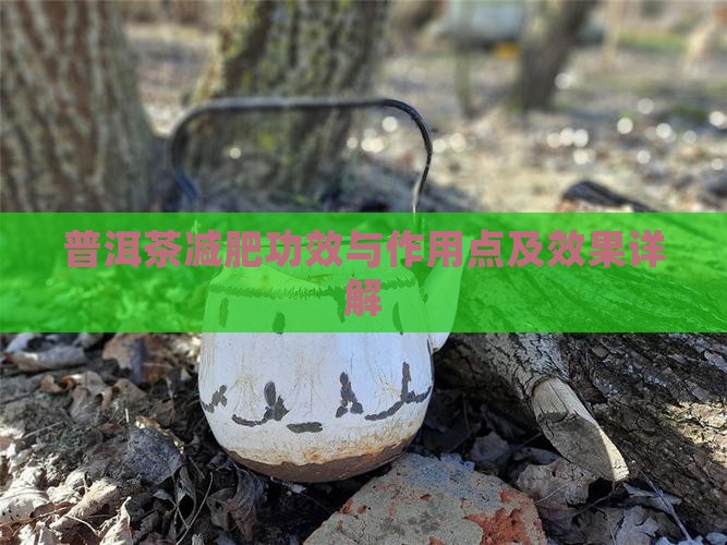 普洱茶减肥功效与作用点及效果详解