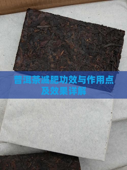 普洱茶减肥功效与作用点及效果详解